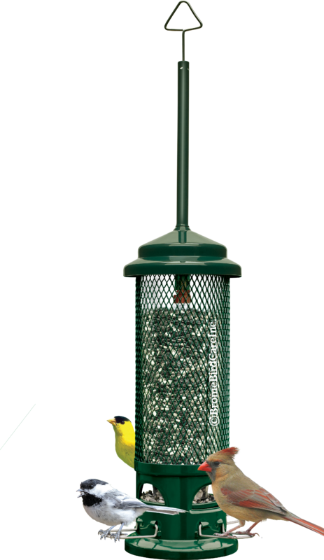 3 Pack Brome Squirrel Buster Classic Squirrel Proof Bird Feeder 1015 