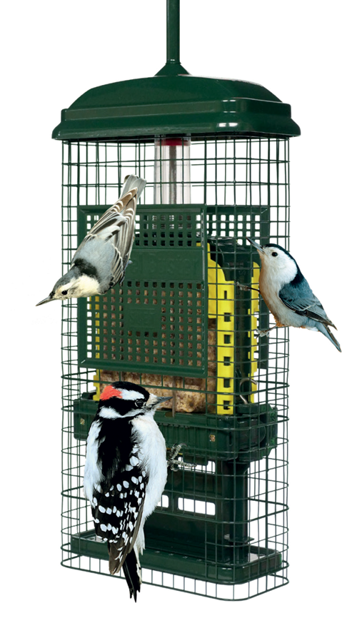 Universal Bird Station d'alimentation Baffle DÔME Arrêt des écureuils voler la nourriture pour oiseaux 
