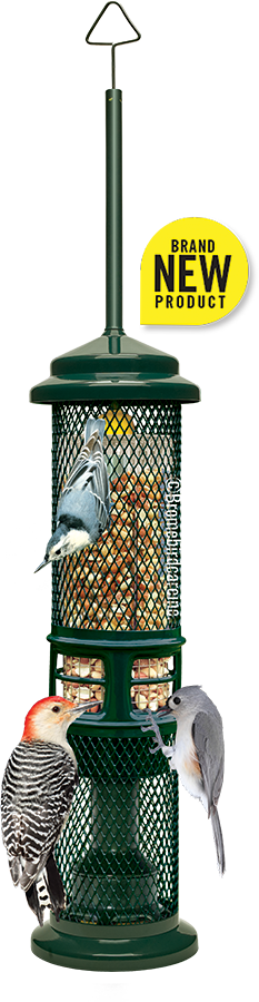 Squirrel Buster Solution 200, mangeoire pour oiseaux d'extérieur – MEUNERIE  DALPHOND