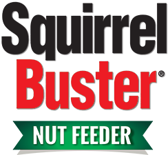 SquirrelBuster Plus