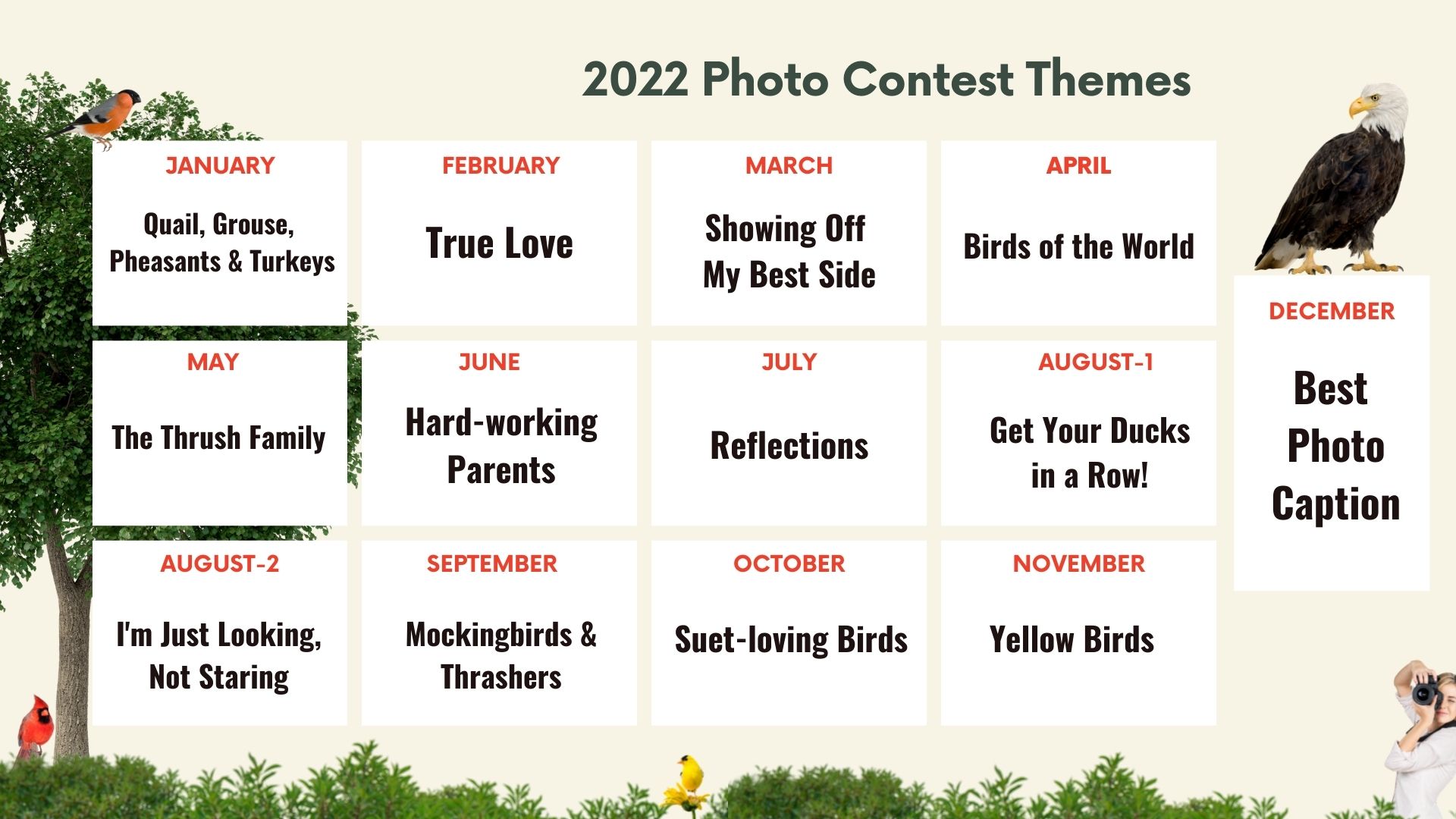 2022 photo contest themes